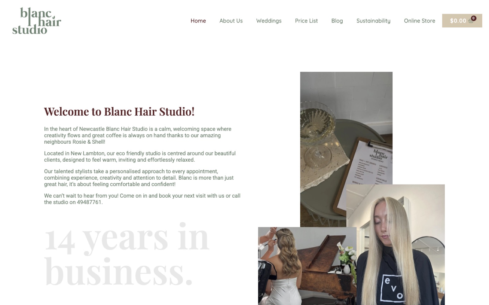 Blanc Hair Studio: Jezweb website