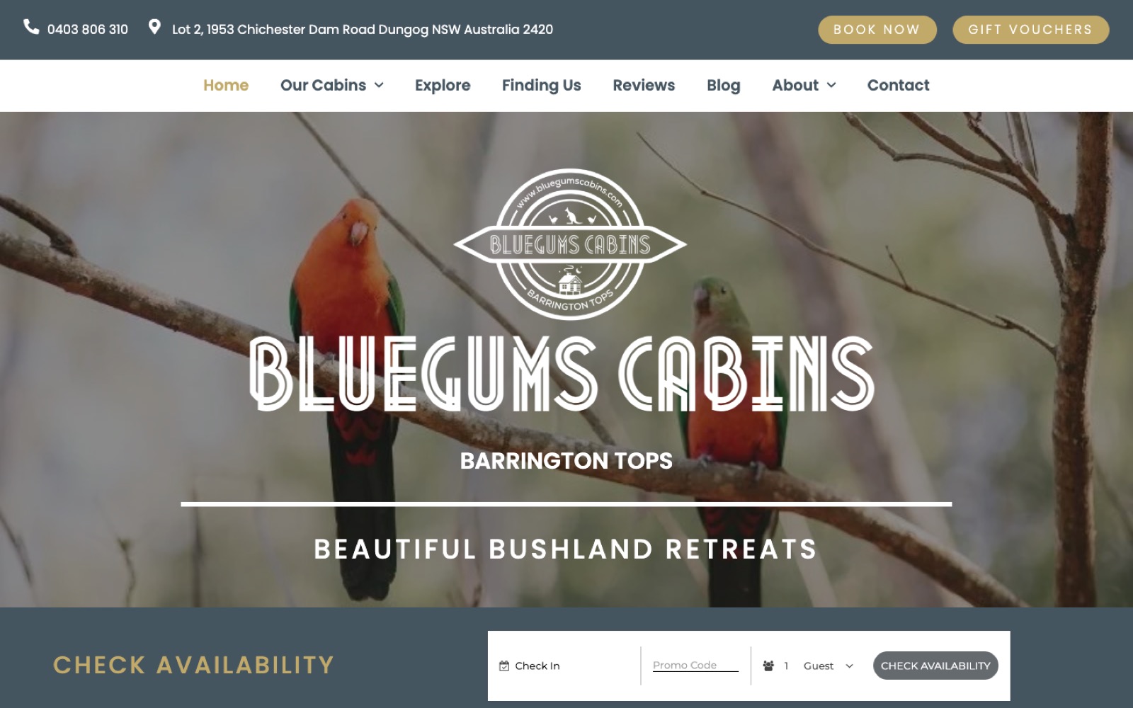 Bluegums Cabins: Jezweb website